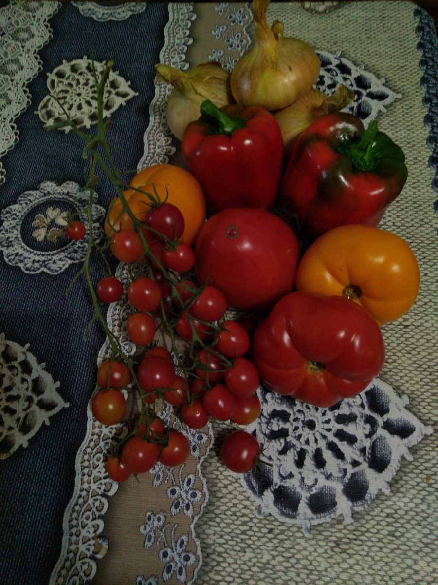 shmurygina-pes-u